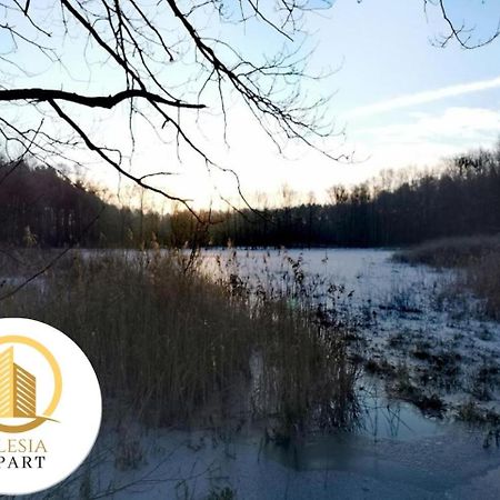 Apartament Cienista 15 Tychy Zewnętrze zdjęcie