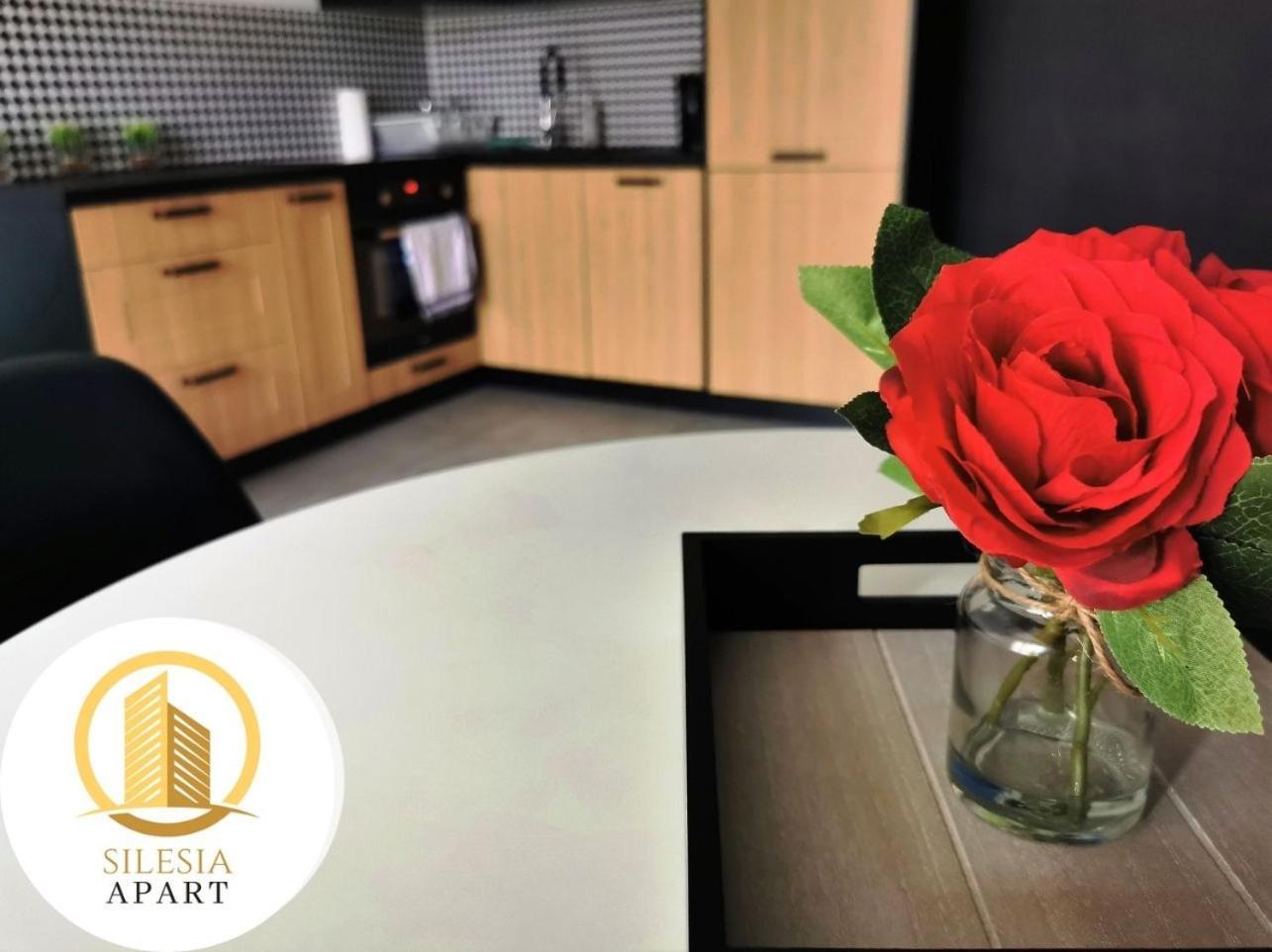 Apartament Cienista 15 Tychy Zewnętrze zdjęcie