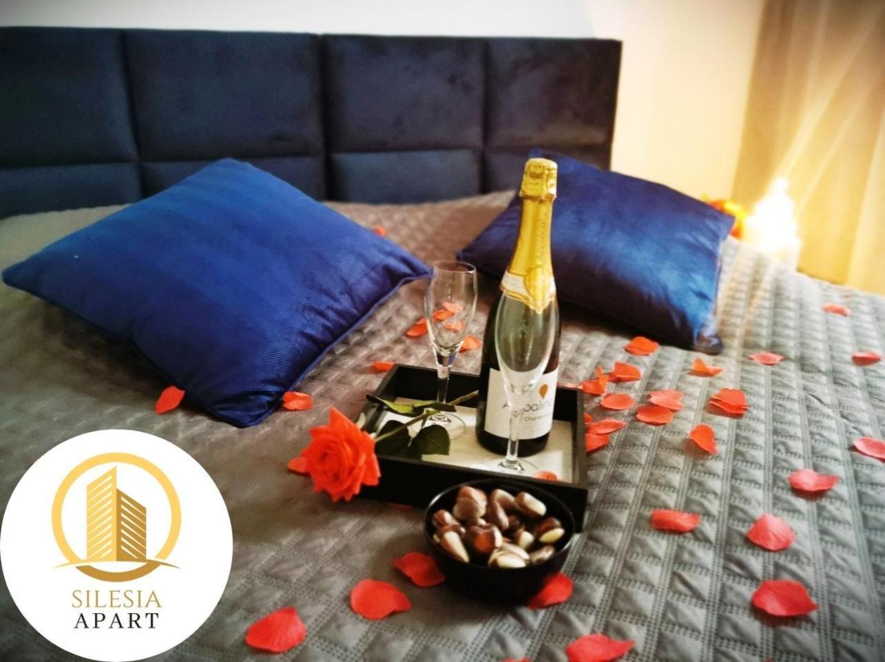 Apartament Cienista 15 Tychy Zewnętrze zdjęcie